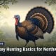 Fostoria News: Illustration, with headline: Ohio Turkey Hunting Basics for Northwest Ohio